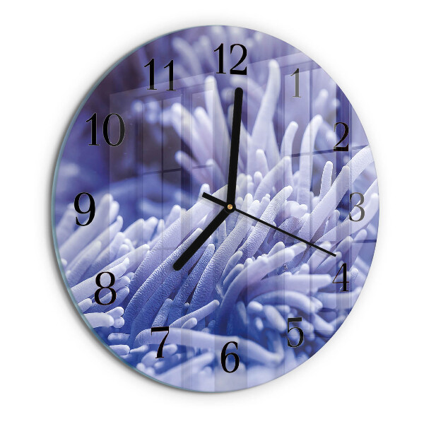 Reloj de pared redondo Anémona