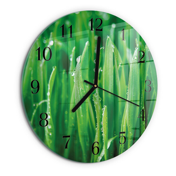 Reloj de pared redondo Hierba verde