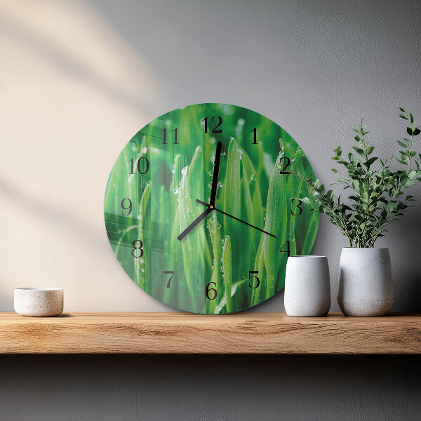 Reloj de pared redondo Hierba verde