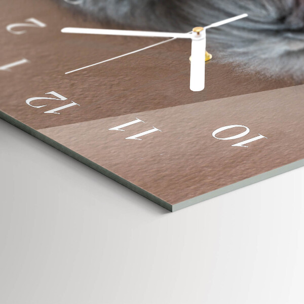 Reloj horizontal Gato Persa