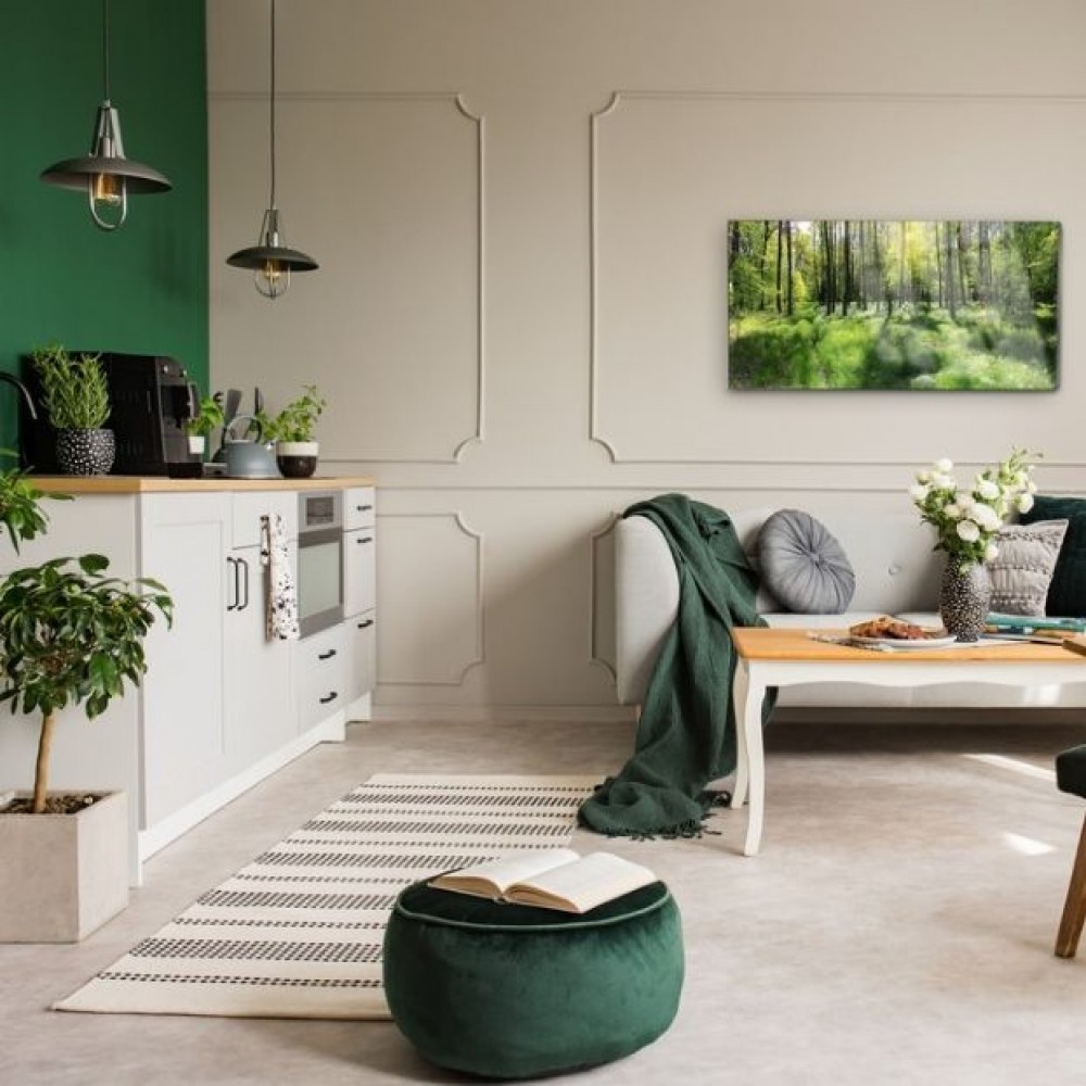 cómo organizar una sala de estar con cocina