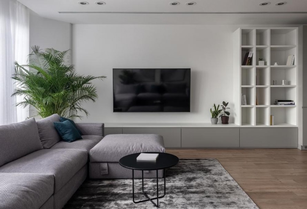 pared con televisión