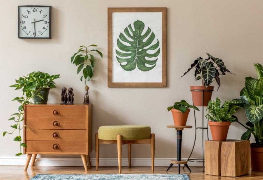 mejores plantas purificadoras de aire